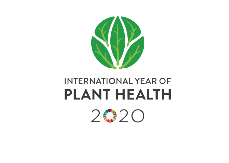 The 20 Most Innovative Plant Varieties Of 2020 Europeanseed